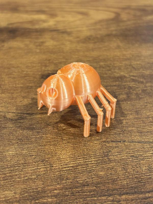 Spider