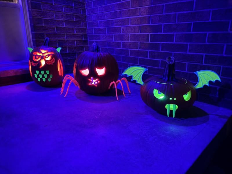 Pumpkin Parts (spider legs, bat wings, owl parts)