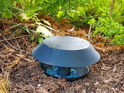 Snail Trap - Slug Trap