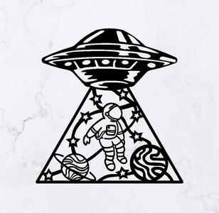 UFO Abduction
