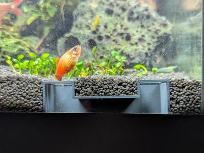 Shrimp Cave