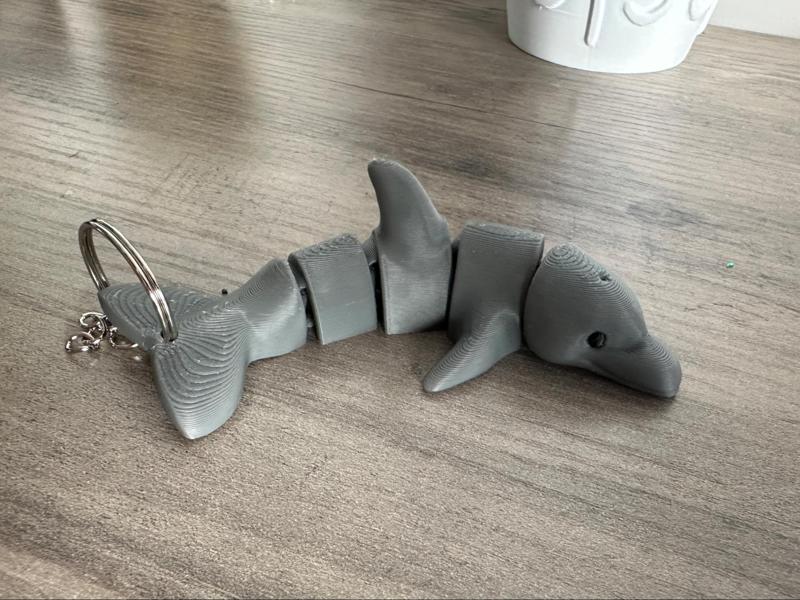 Flexi Dolphin with keychain