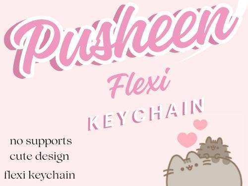 Pusheen the Cat Flexi Keychain