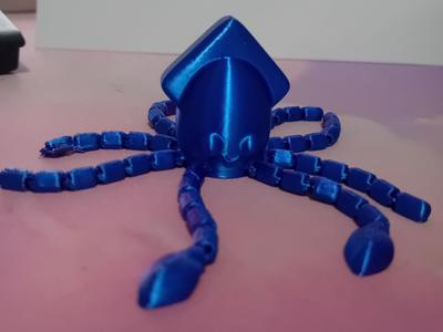 Cute Flexi Squid