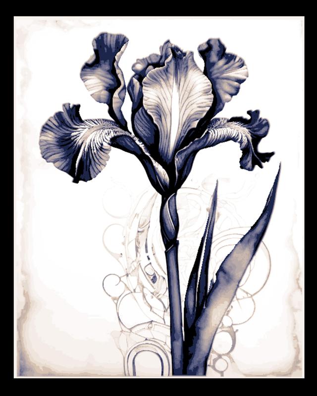 The beauty of the Iris - the purple fairy flower - Wall Art