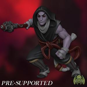 Alternative Valerius The Shadow Monk [PRE-SUPPORTED] Rogue Assasin Vampire
