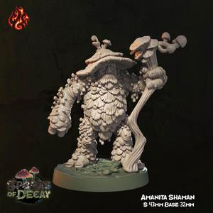 Amanita Shaman