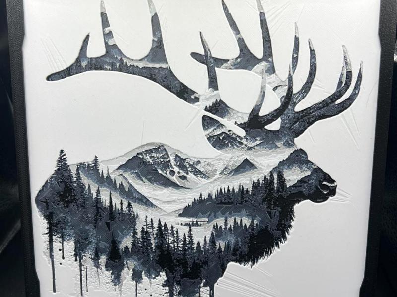 Elk