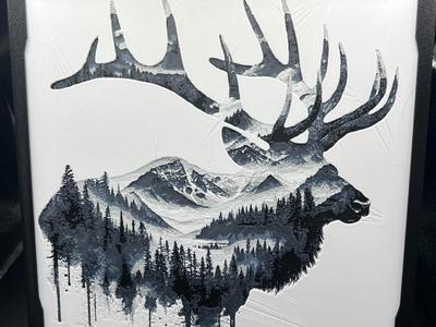 Elk