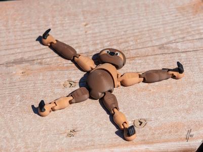 The Flexi Sloth