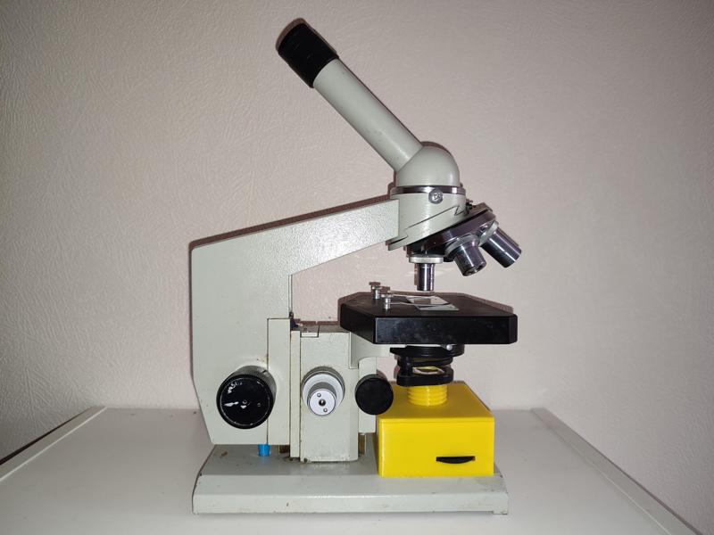 Illuminator for microscope
