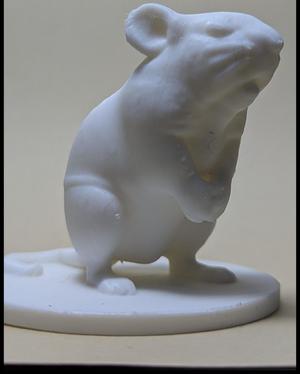 Animal, Beast Collection (DND / TTRPG)