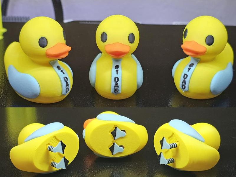 Father's day duck with matching tie & socks