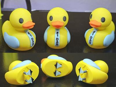 Father's day duck with matching tie & socks