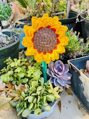Sunflower Stake