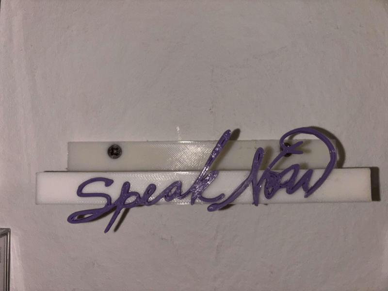 Taylor Swift, speak now, CD holder wall mounted