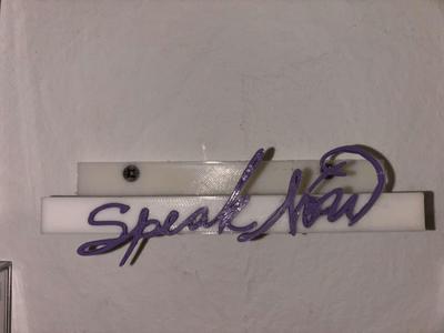 Taylor Swift, speak now, CD holder wall mounted