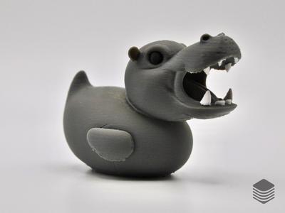 Hippo Duck