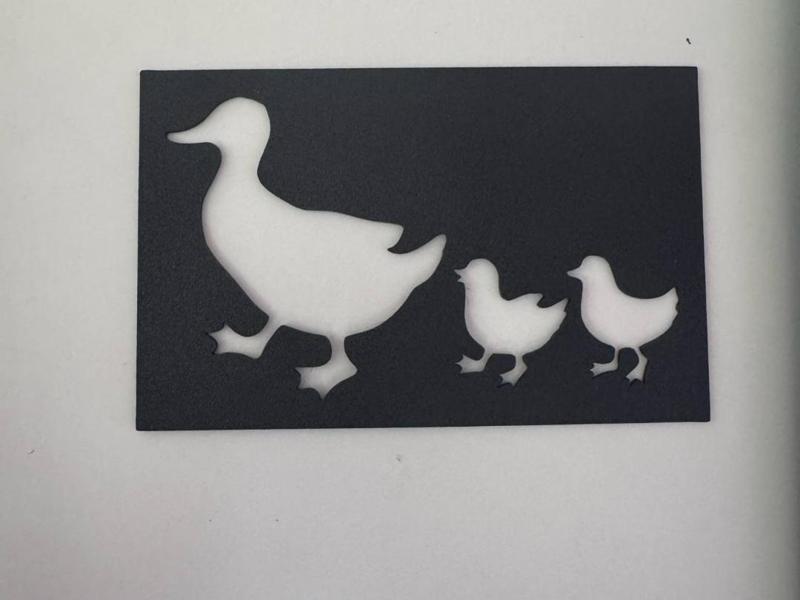 Ducks for drawing