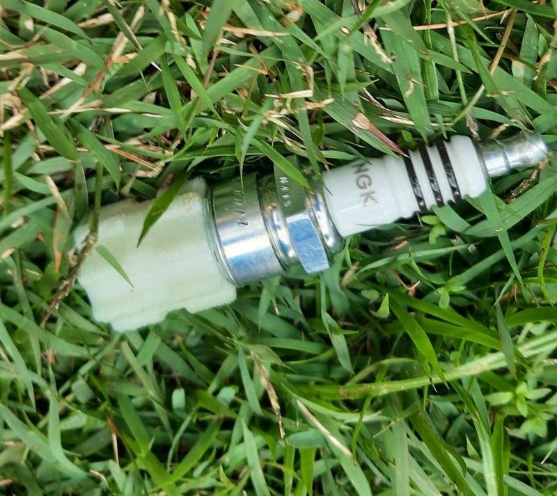 Spark plug protector