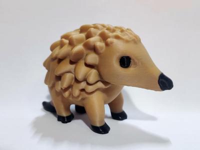 Baby Armadillo