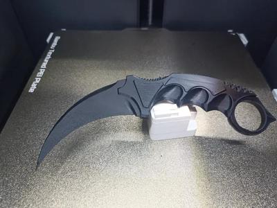 Karambit (CS2 Knife) counter strike