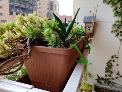 Flower pot holder