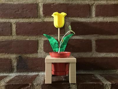 Mothers Day Flower