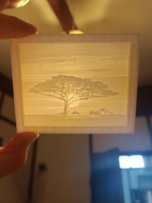 sunset tree lithophane/picture