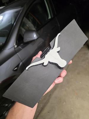 Longhorn Telsa Model Y Snap in Hitch Cover