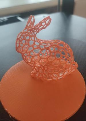 Bunny Voronoi