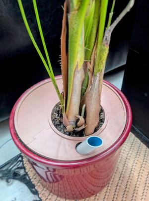 Cover for 23cm pot