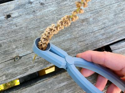 Basil Stem Seed Stripper 