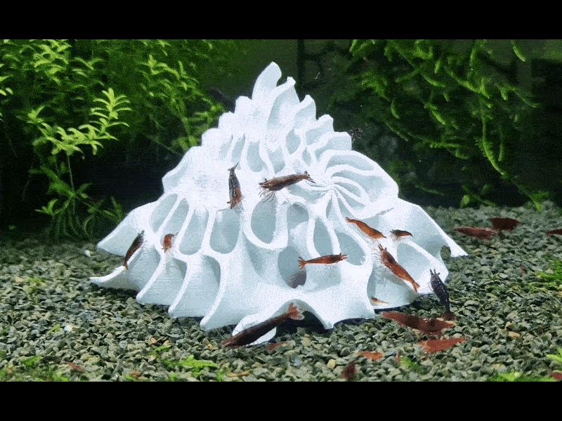 Gyroid Shrimp Tank Hide, 5 STL Designs, Shrimp Tank Decor, Aquarium Shrimp Shelter