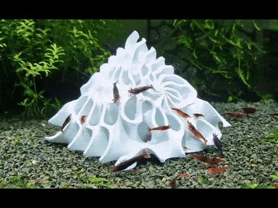 Gyroid Shrimp Tank Hide, 5 STL Designs, Shrimp Tank Decor, Aquarium Shrimp Shelter
