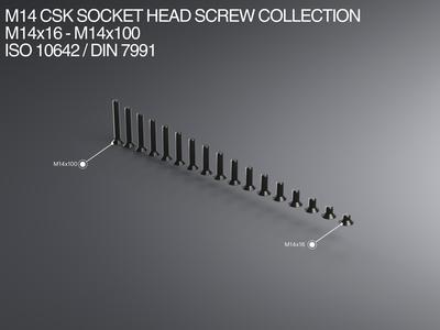 M14 CSK Socket Head Screw Collection M14x16-M10x100 ISO 10642 / DIN 7991