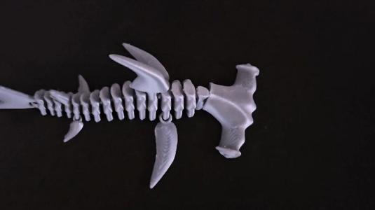 Flexi-Hammerhead Shark