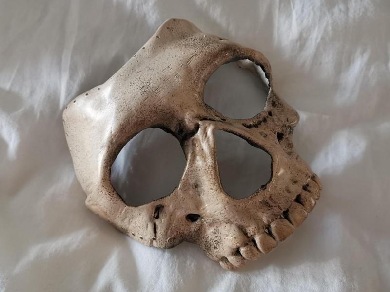 Ghost mask from Call of Duty Modern Warfare