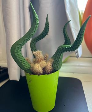 Octopus plant legs accessories