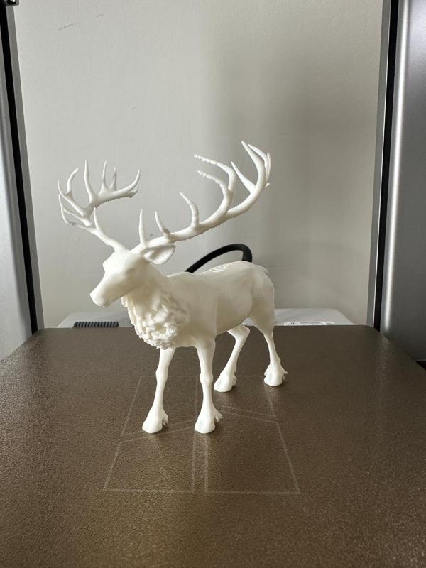 reindeer 2.0