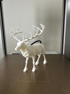 reindeer 2.0