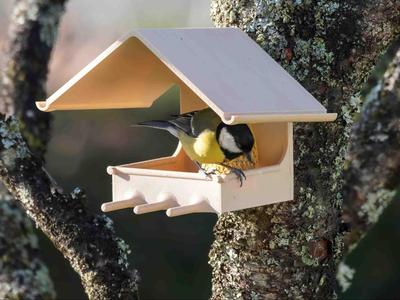 Bird feeder - Fat ball holder