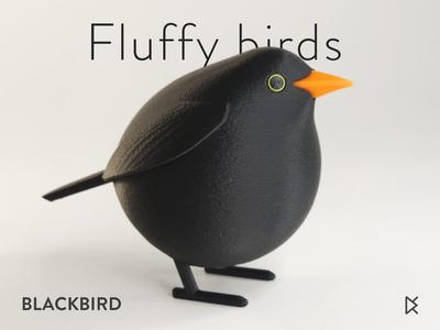 Fluffy Birds - Blackbird