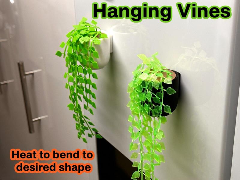 Vine Creeper Plant - Magnetic version