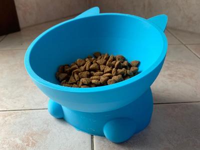 Kibble bowl