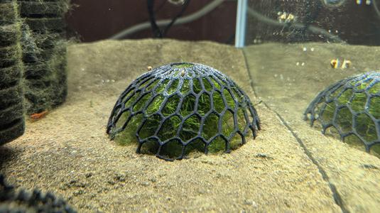 Aquarium Moss Dome Plant Holder (easier to print)
