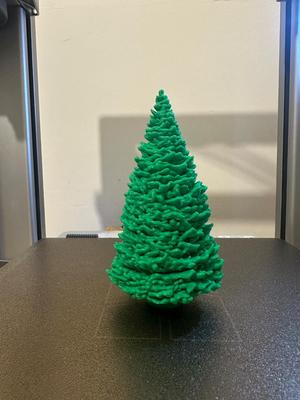 Pine Tree