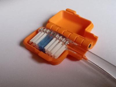 Filament-hinge Toothbrush Case