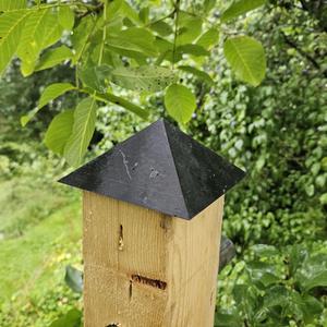 fence post cover (Zaunpfostenkappe)