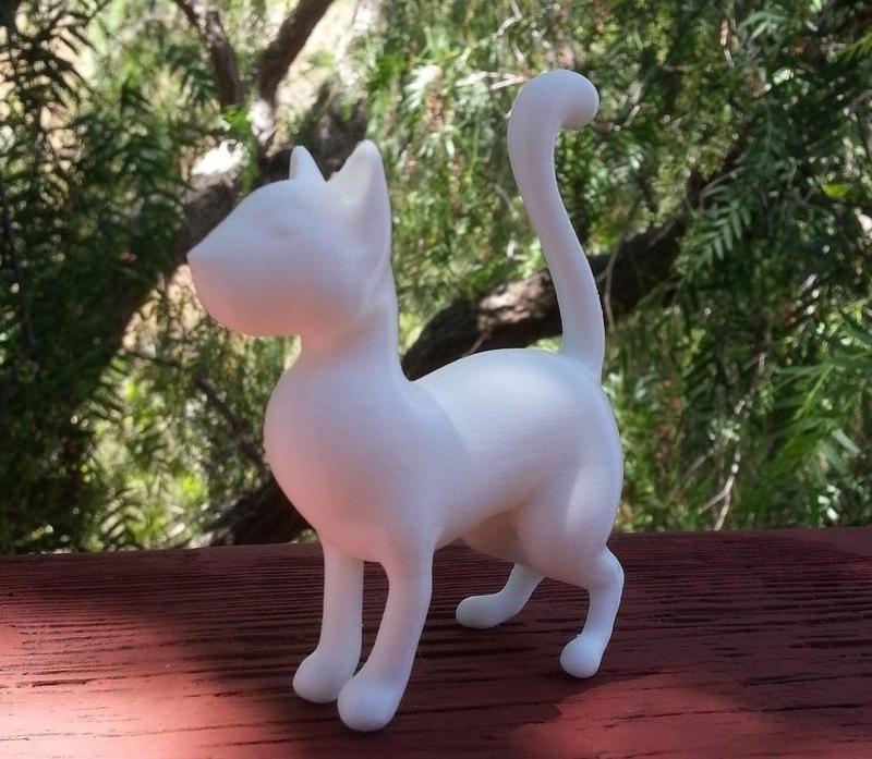 Cat (standing up)
